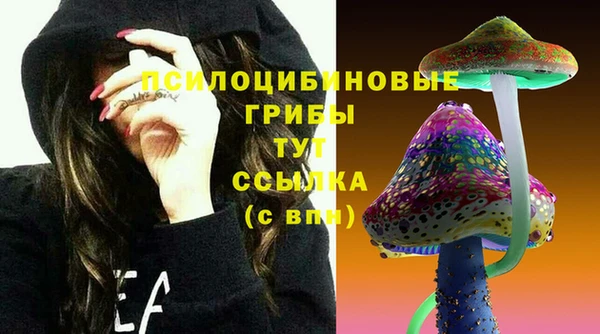 бошки Белоозёрский